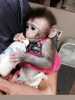 Nabídka Kapucinsky opice