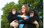 Rozkošné mládě šimpanze k adopci
